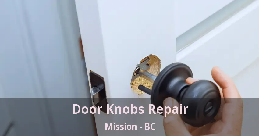 Door Knobs Repair Mission - BC