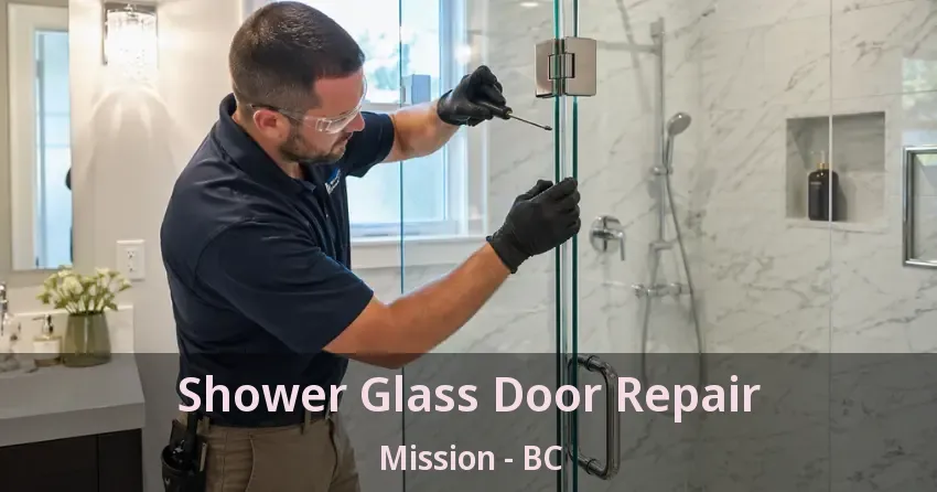 Shower Glass Door Repair Mission - BC